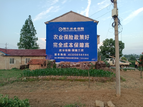 荆门墙体广告的优劣势你知道吗?